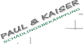 kaiser
